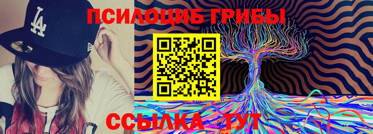 Псилоцибиновые грибы Psilocybe Волхов