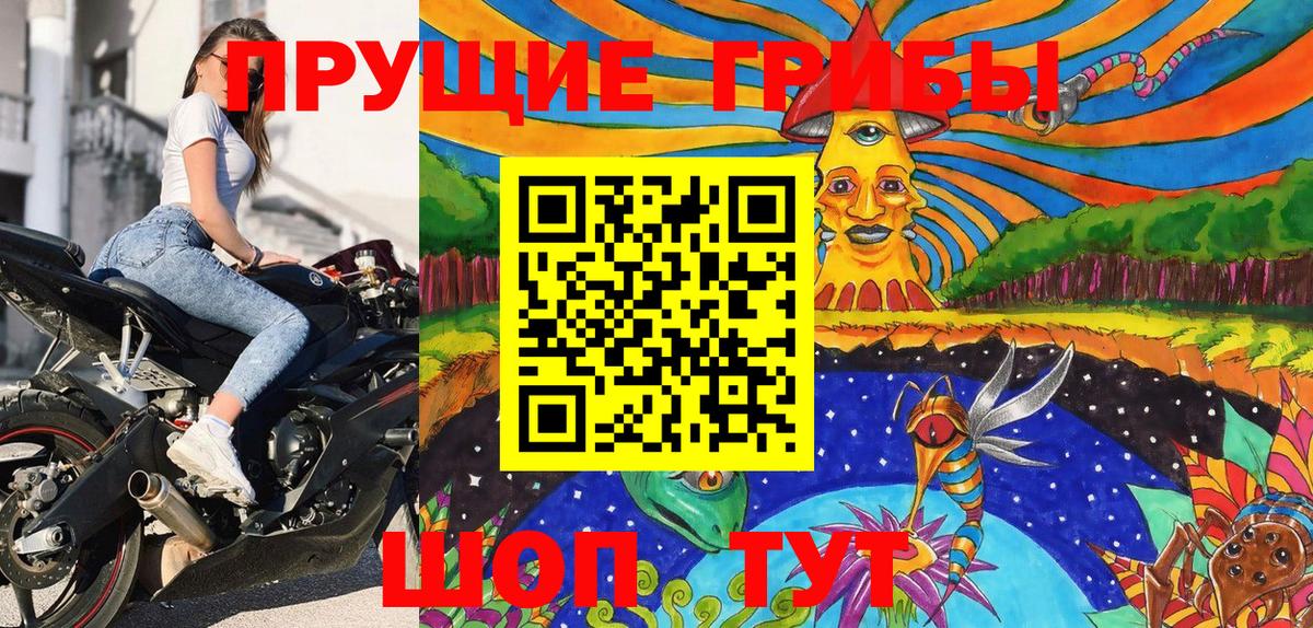 Псилоцибиновые грибы Psilocybe  Галлюциногенные грибы мухоморы  Волхов  Вход с VPN 